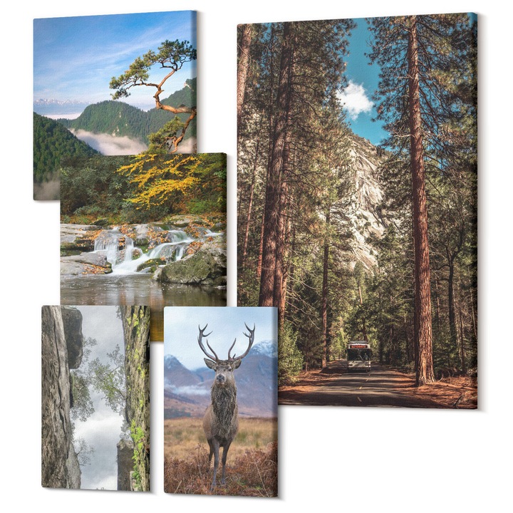 Set Tablouri Canvas decor interior, Wallfluent, Cascada padure munti cerb natura, 5 piese, (2x20x30 + 2x30x30 + 40x60 cm), Decorativ, Modern, 040030010500000288262