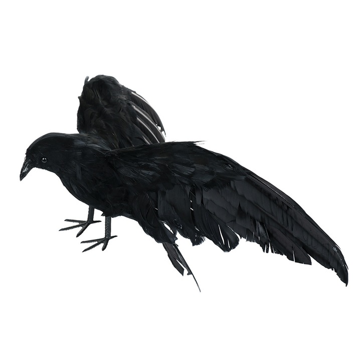 Cioara neagra pentru Halloween, pentru interior si exterior