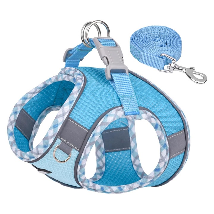 AIITLE XXS Set ham si lesa pentru caini - Ham respirabil, pentru catei de talie mica, pentru utilizare in interior/exterior - Boston Terrier, Maltese, Chihuahua (albastru, XXS)