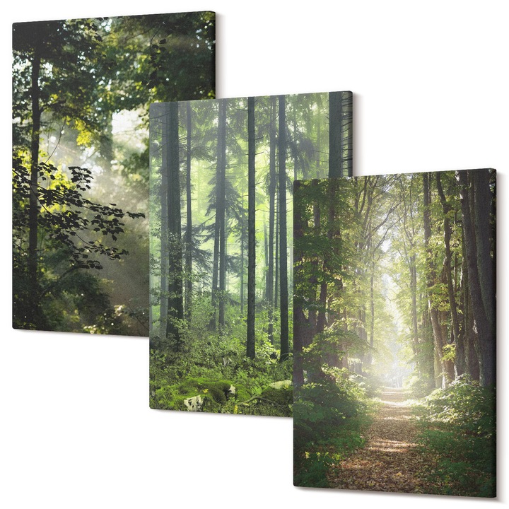 Set tablouri perete, Wallfluent, Paduri verzi cu raze de lumina, 3 piese, 40x60cm, Panza