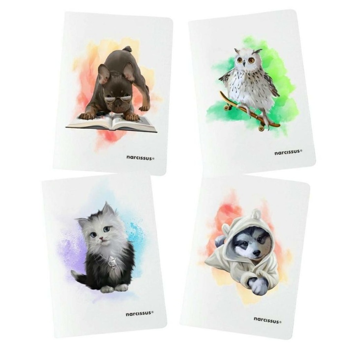 Комплект тетрадки А4/32К с цветни редове ПП Джой, 4 броя, НАРЦИС, многоцветни