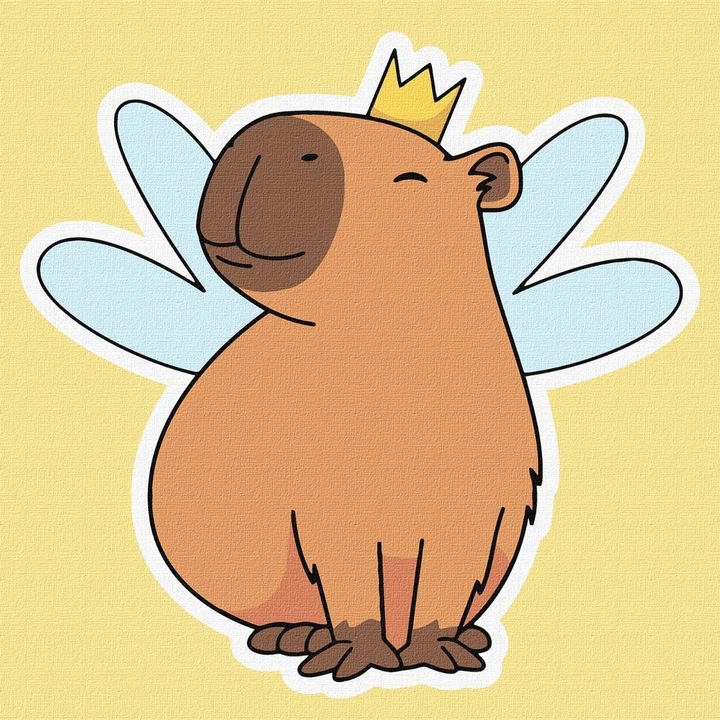 Set pictura pe numere, Ideyka, Zana Capibara, 2 pensule, culori ecologice, panza 30x40cm