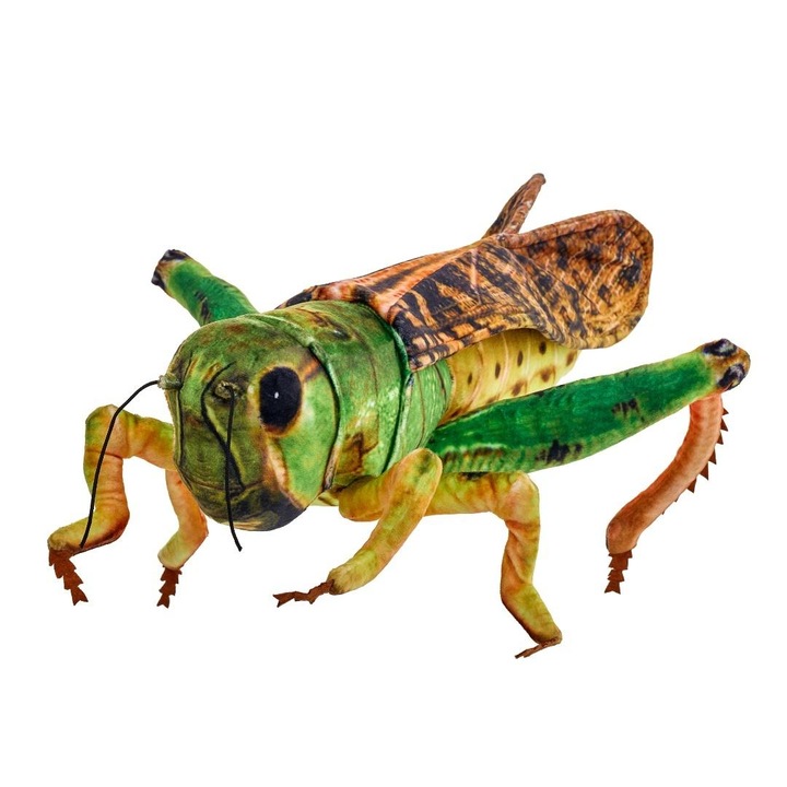 Jucarie de plus, BEPPE, konik polny, 41cm, detalii autentice