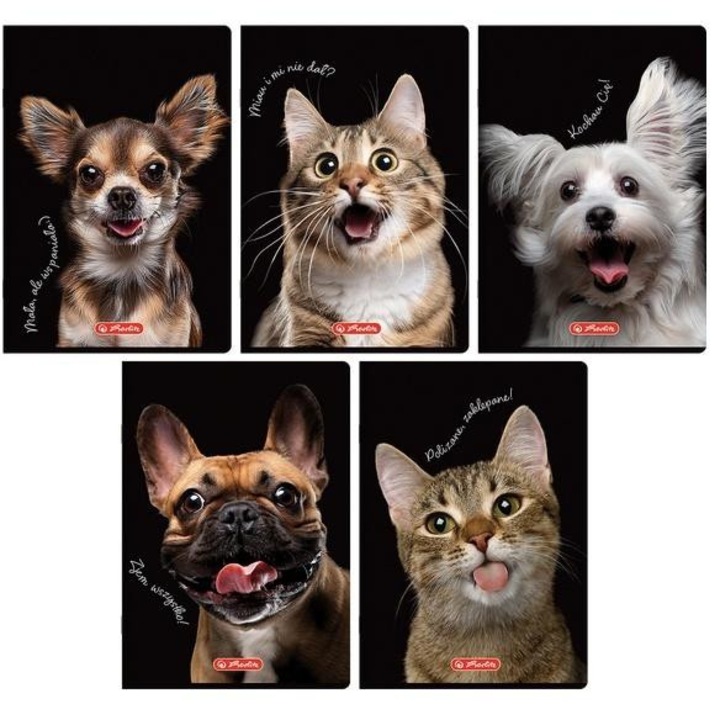 Herlitz Crazy Animal füzetcsomag, A5, 80 oldal, 5 darab, fekete borítókkal, vicces állatokkal