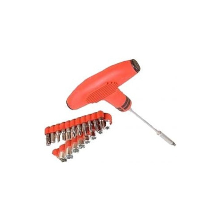 Trusa surubelnita cu 21 accesorii