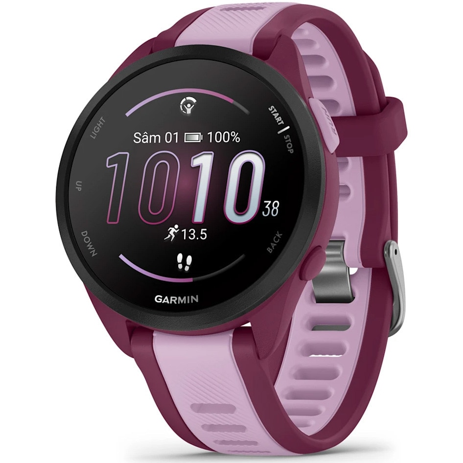 Garmin 010-02863-33