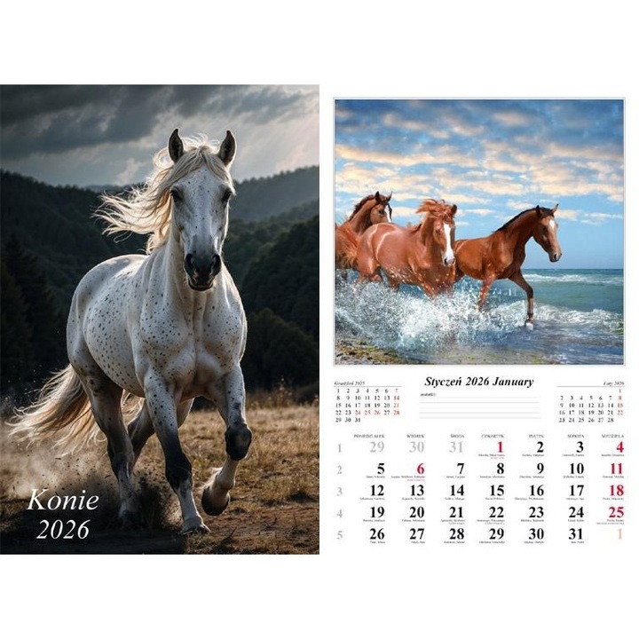 Kalendarz 2026 scienny Radwan, 12 luni, format 32x48cm, cu spirala