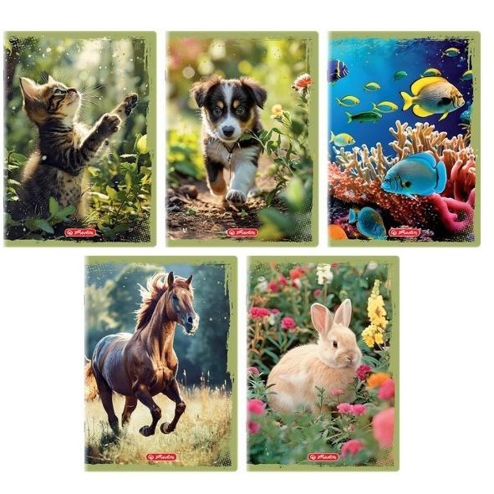 A5 füzet szett, OXFORD, 20 db, 16 lapos, kartonált borítóval, állat illusztrációkkal, többszínű