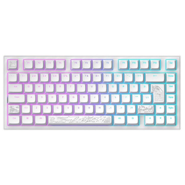 Tastatură gaming Dark Project Nostra, aluminiu, G3MS Moonstone, iluminare RGB, 75%