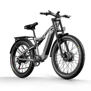 Biciclete electrice