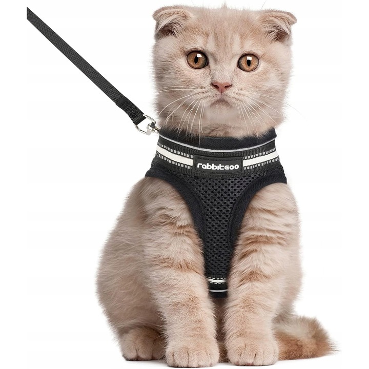 Ham pentru pisici, set cu lesa, negru, L, 23,5-27cm gat, 30-36cm piept