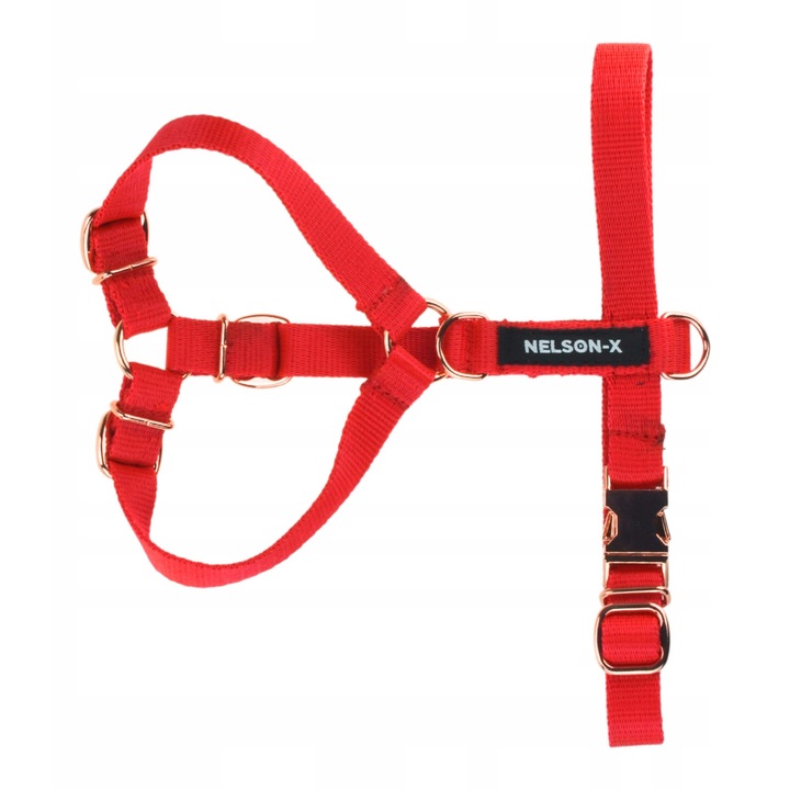 Ham pentru caini, NELSON-X, dimensiune L, rosu, latime 2,5 cm