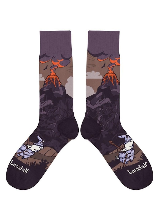 Sosete barbati, Molom, bumbac, multicolor, 37-41