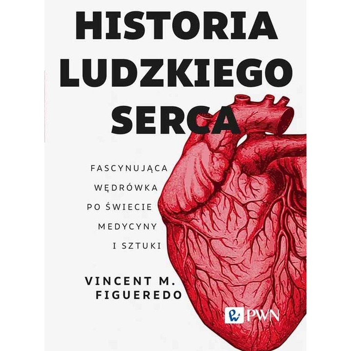 История на човешкото сърце, Винсент М. Фигередо