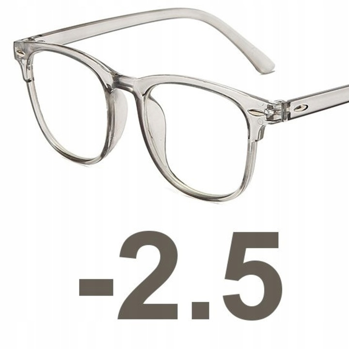 Ochelari corectivi Retro, -2.50, Policarbonat, Femei