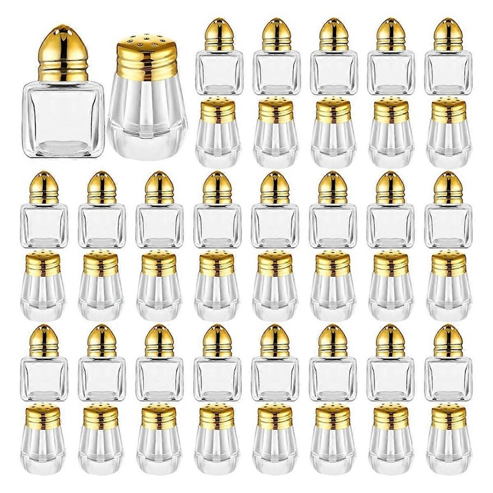 Set 24 Racitoare Condimente Mini, Sticla Transparenta, 12 Baite Patrate, 12 Baite Rotunde, Argintii