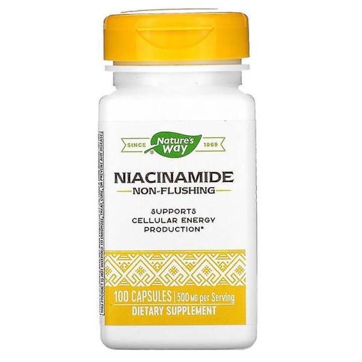 Supliment alimentar, Nature's Day, Niacinamide, 500 mg, 100 capsule
