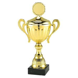 Cupe, trofee si medalii