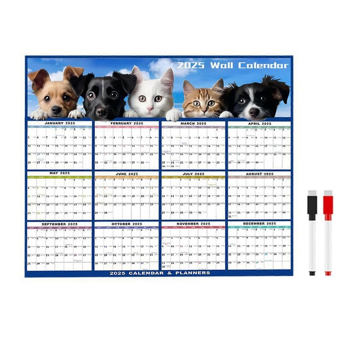 Calendar de perete 2025, design reversibil, suprafata dubla erazabila, 121.9x80cm, alb