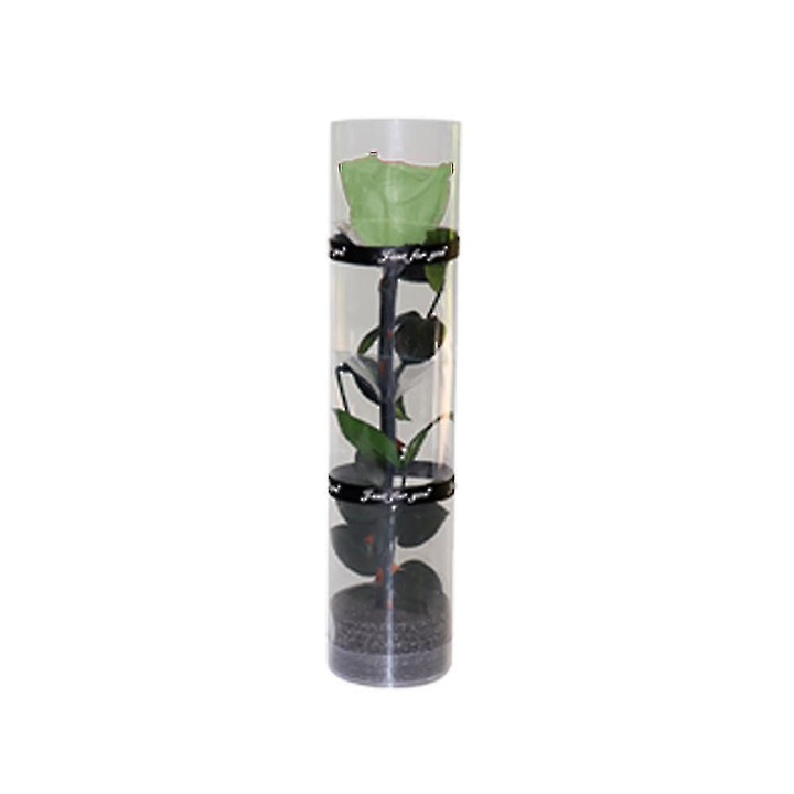 Aranjament floral cu trandafir conservat, lungime 27cm, diametru floare 4.5cm, ambalaj transparent
