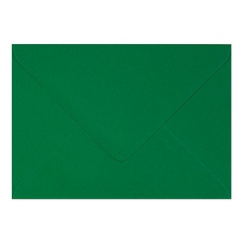 Plic invitatie / felicitare verde Craciun 110 x 220 mm Plic invitatie / felicitare verde Craciun 110 x 220 mm