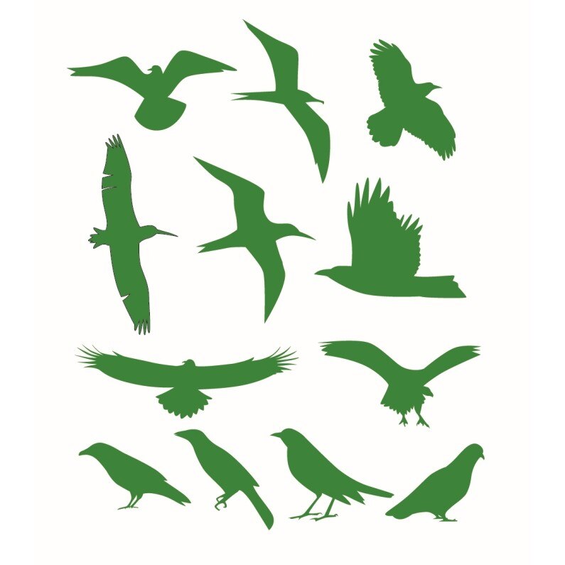 Sticker decorativ Stickero Pasarile, Verde deschis, 50x85 cm
