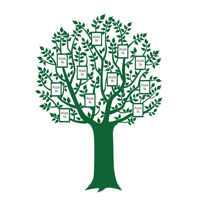 Sticker de perete Stickero Copacul familiei, Verde, 90x125 cm