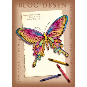 Acuarele, pensule si blocuri de desen