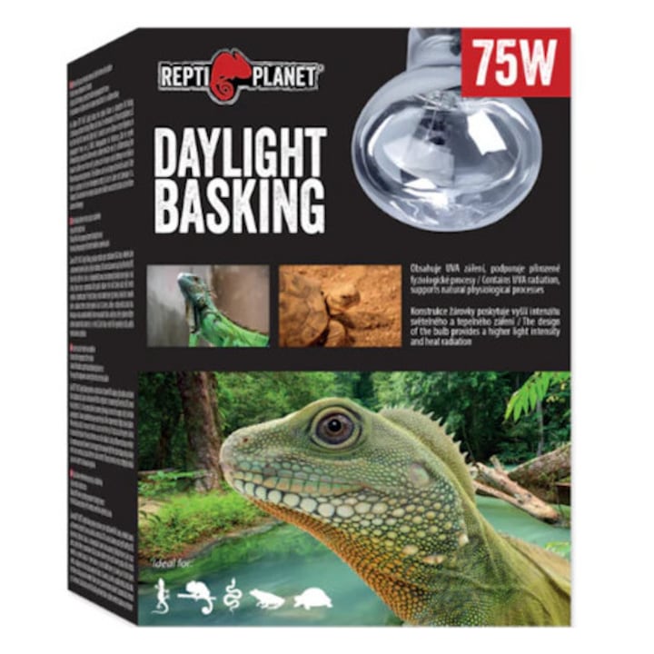Bec pentru terariu ReptiPlanet Daylight Basking Spot 75W