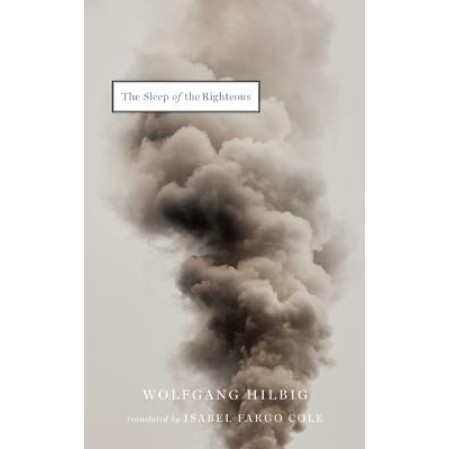 The Sleep of the Righteous, Wolfgang Hilbig (Author)