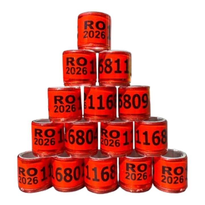 Set 100 Inele porumbei 2026 RO, 8mm din aluminiu, culoare Rosu, pentru voiajori, stil vechi, de agrement si alte rase similare, bune pentru columbofili sau amatori
