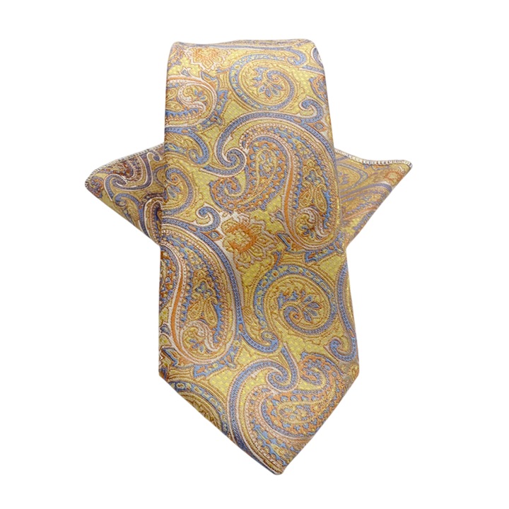 Set cravata slim cu batista Paisley CHARLIE, PRAVALIA CU SURPRIZE, Galben