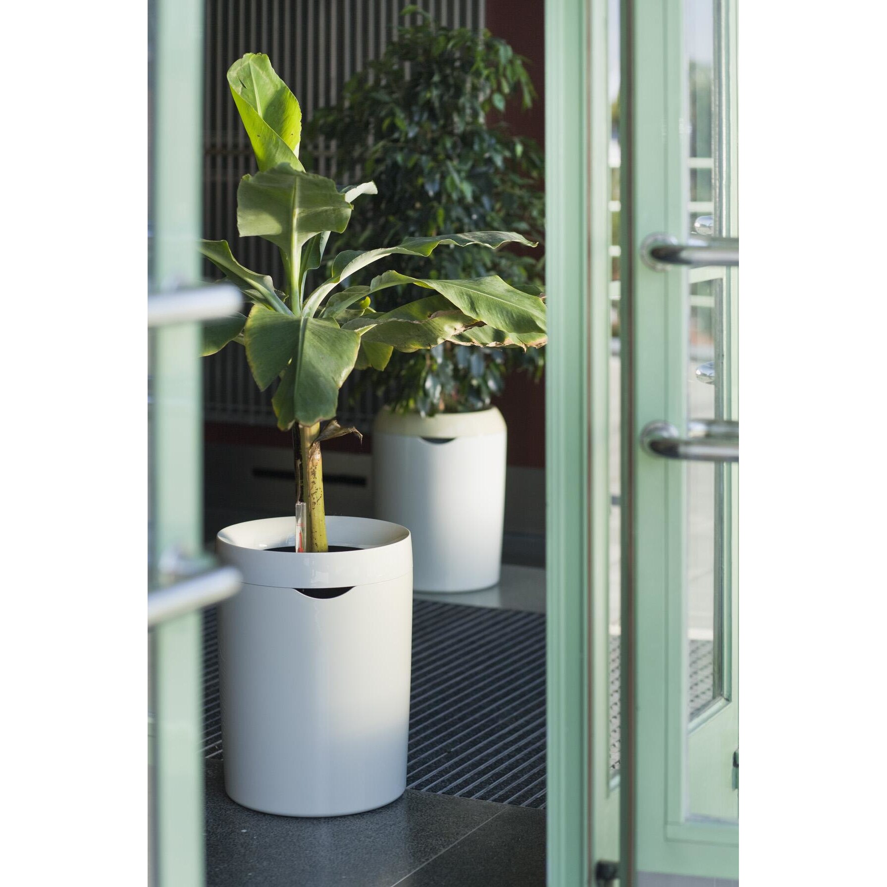 Ghiveci auto-udare CALIMERA 50 B2 , ALB