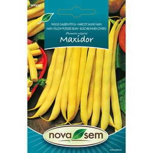 Bulbi, seminte si rasaduri