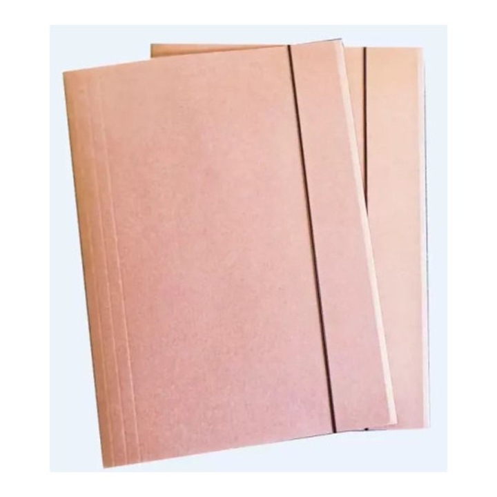 Set dosare A4 Eko Kraft, Wektor, 10 bucati