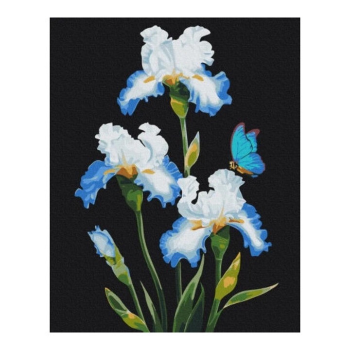 Set pictura pe numere BRUSHME 40x50 cm