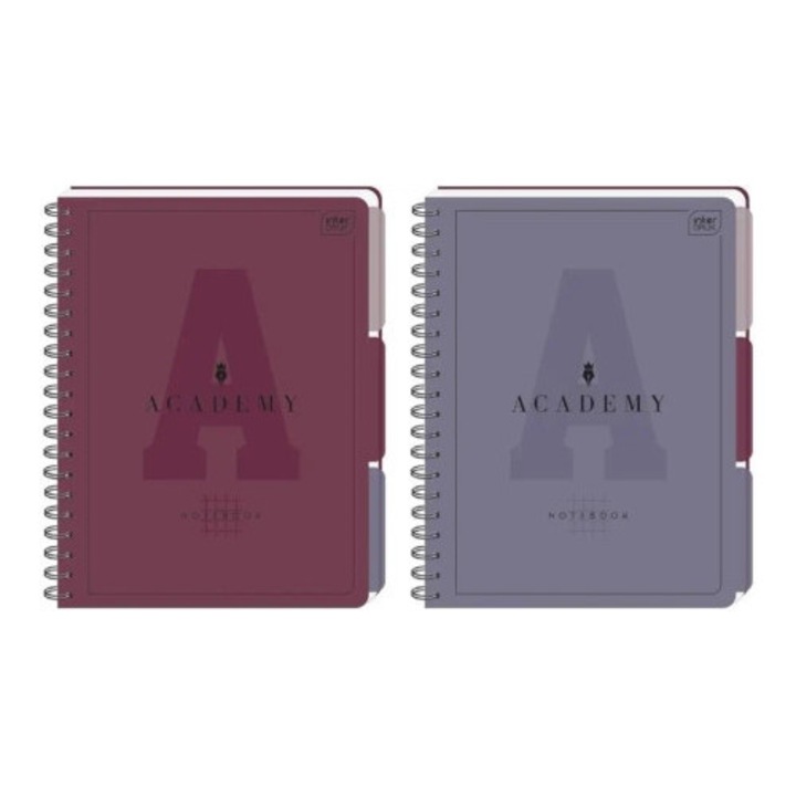 Set 5 caiete A4, INTERDRUK Academy, 100 file, multicolor