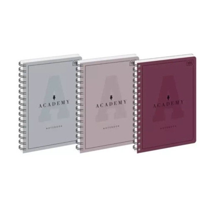 Caiete A4, INTERDRUK, 100 file, 5 bucati, cu microperforatie, colturi rotunjite, pastelat/stilizat