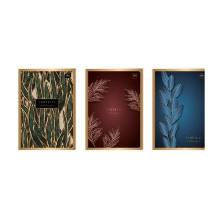 Caiete A4, INTERDRUK, 80 pagini, metalizat auriu, set 5 bucati