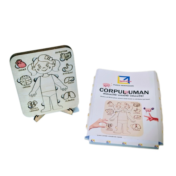 Montessori kirakó, Emberi test és szervei, természetes fa