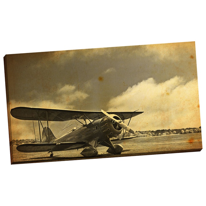 Tablou grand canvas "Old Vintage Fighter Plane" - 100 x 70 cm