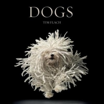 Dogs, Tim Flach Dogs, Tim Flach