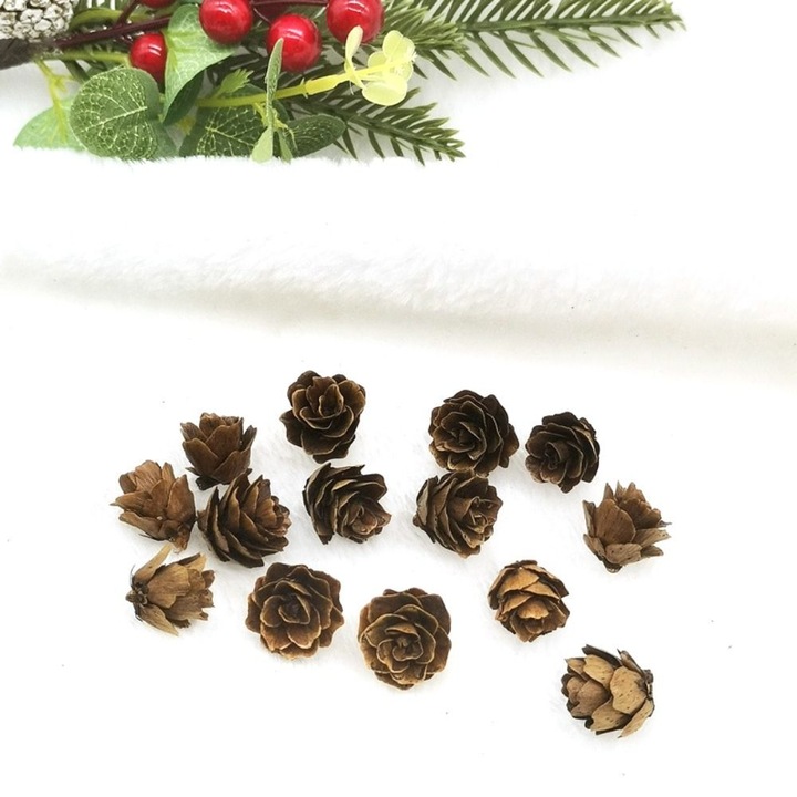 Set 50 conuri de pin din lemn, decoratiuni Craciun, 1-2cm, multicolor