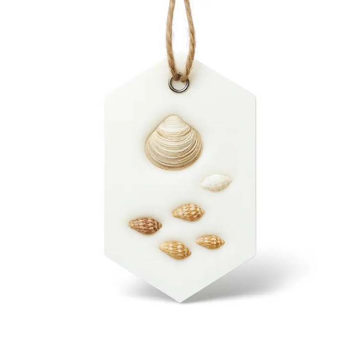 Lunera Szekrényillatosító – Tengeri só & Kókusz - Ovális, kézműves, illatosított viasz, illatviasz, természetes viasz, 25g