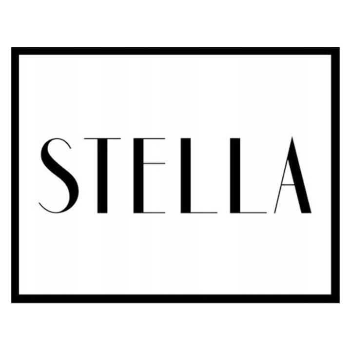 Frytkownica beztluszczowa Stella STAF-1800-8-IX, 1800W, 8L, cernelura neagra, 8 programe automate