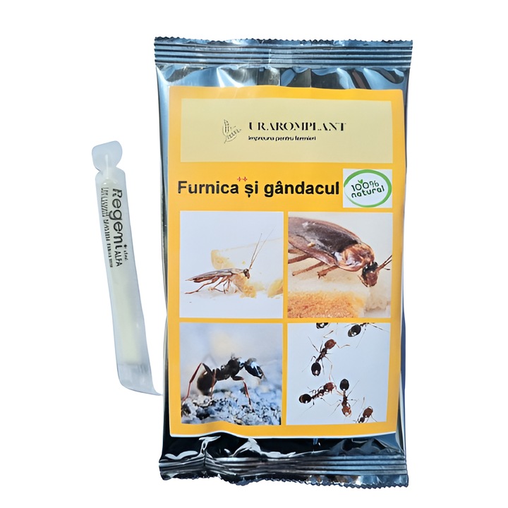Insecticid anti gandaci REGEMI ALFA 5 ml + Solutie anti Gandaci si furnici, natural, repelent, organic 100%, Furnica++ si gandacul 51 g