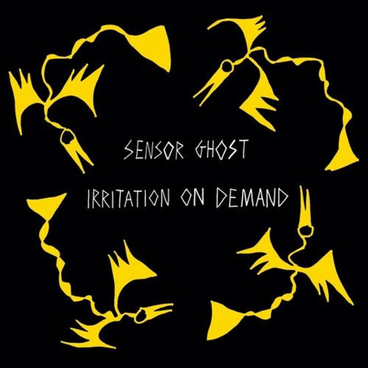 Sensor Ghost - Irritation On Demand (1Vinyl)