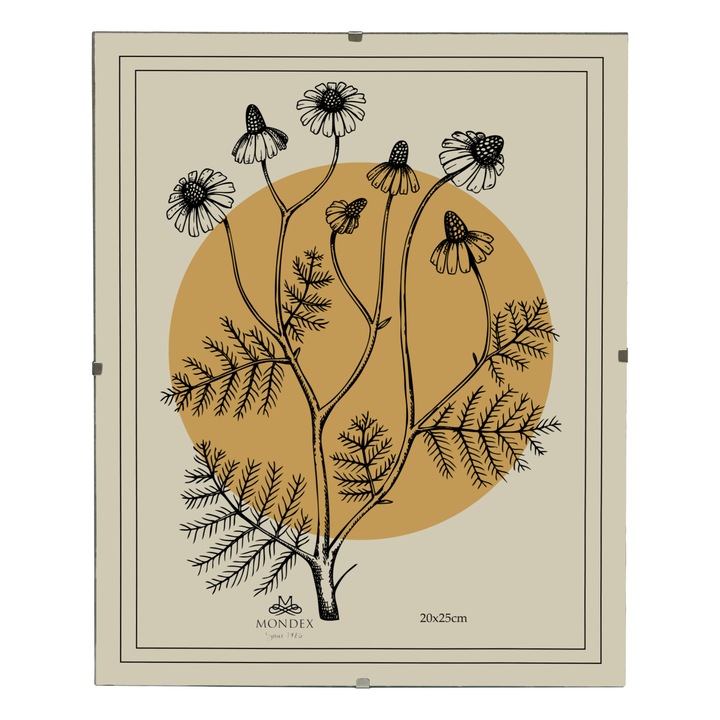 Rama foto Mondex 20x25cm, sticla, design minimalist, elegant