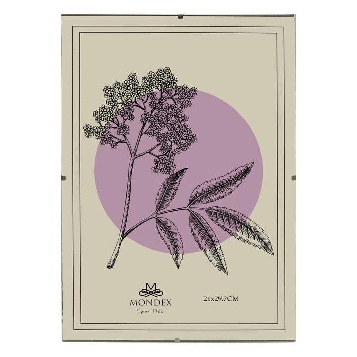 Rama foto clasica Mondex 21x29,7cm, plexi, antireflex, transparent