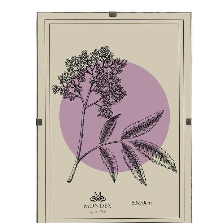 Rama foto Mondex 50x70cm, antirama, plastic, plexi, design minimalist